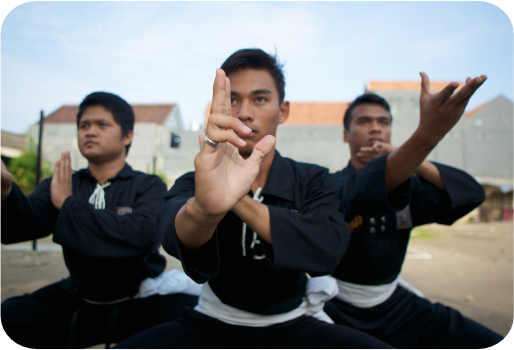 Unit Kegiatan Mahasiswa Persatuan Setia Hati Teratai (PSHT)