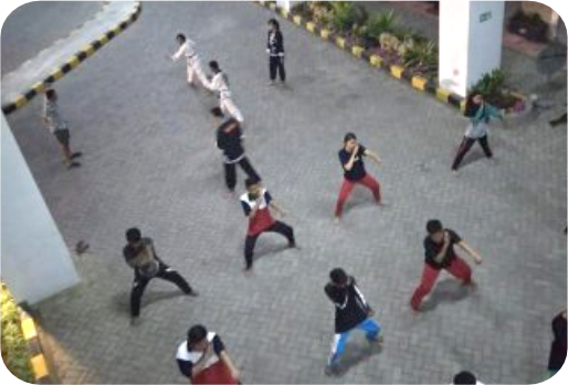 UKM Ikatan Keluarga Silat Putra Indonesia (IKSPI)